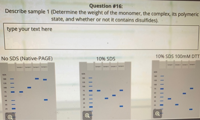 solved-question-16-describe-sample-1-determine-the-weight-chegg