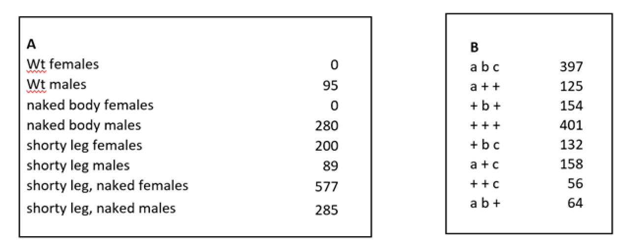 how to state null hypothesis for chi square