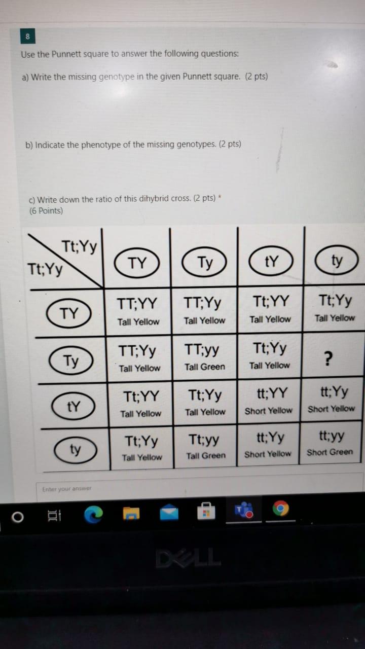 Solved 8 Use the Punnett square to answer the following | Chegg.com