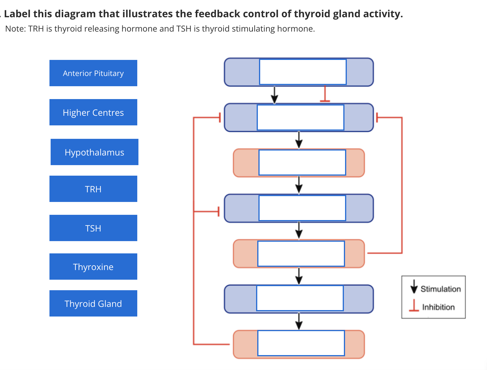 solved-label-this-diagram-that-illustrates-the-feedback-chegg