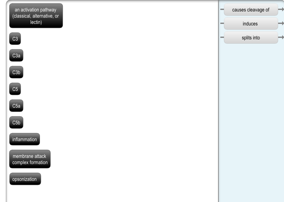 Solved an activation pathway (classical, alternative, or | Chegg.com