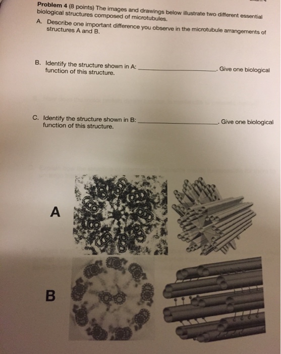 Solved Problem 4 (8 Points) The Images And Drawings Below | Chegg.com