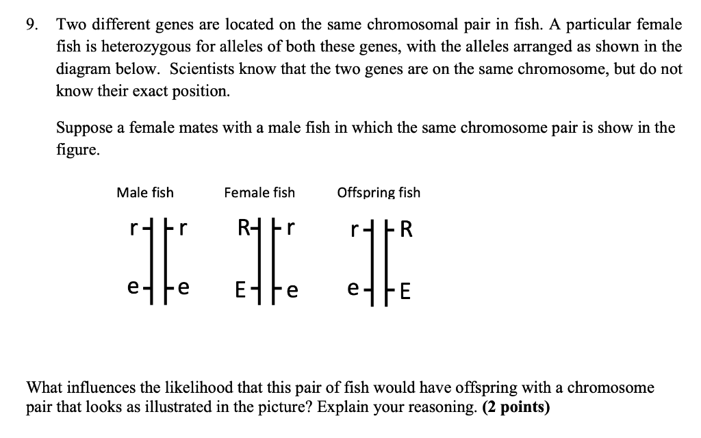 Solved 9. Two different genes are located on the same | Chegg.com