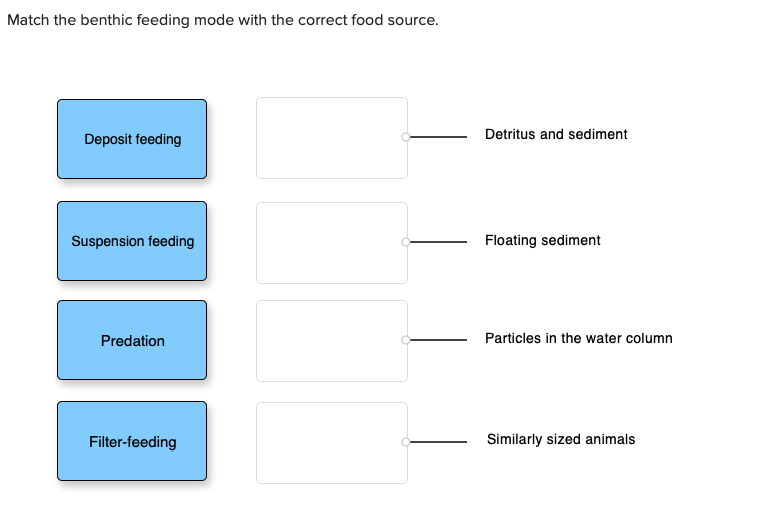 Solved Match the benthic feeding mode with the correct food 