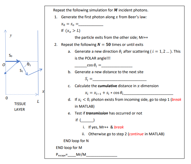 Code In Matlab Write A Monte Carlo Simulation 4057