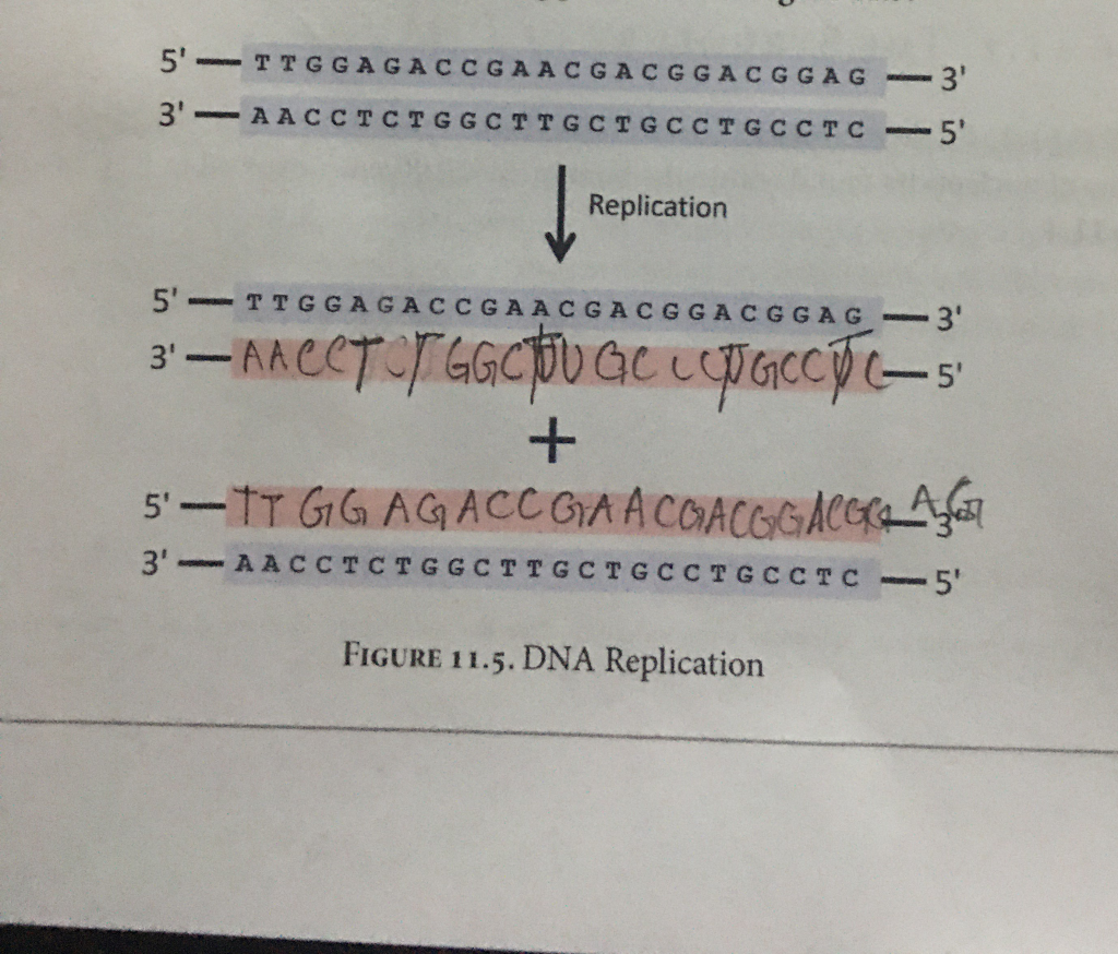 solved genetics and evolution part 2 questions w descri chegg com