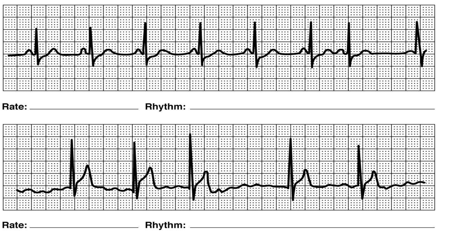 Solved امام Rate: Rhythm: hahhaha Rate: Rhythm: | Chegg.com