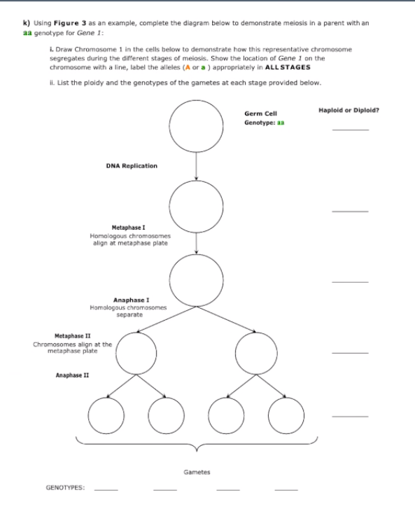 Solved k) Using Figure 3 as an example, complete the diagram | Chegg.com