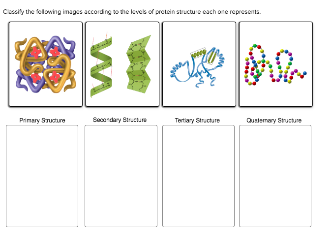 Solved Classify the following images according to the levels | Chegg.com