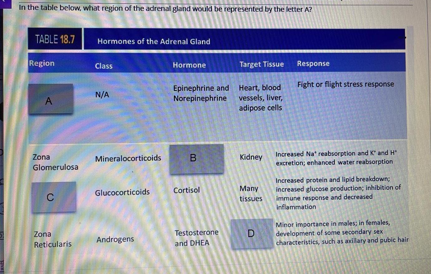 solved-in-the-table-below-what-region-of-the-adrenal-gland-chegg