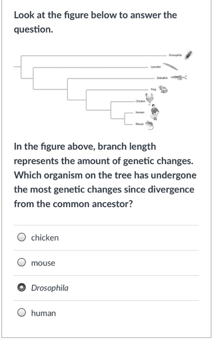 Solved Can someone explain if the answer chosen is correct, | Chegg.com