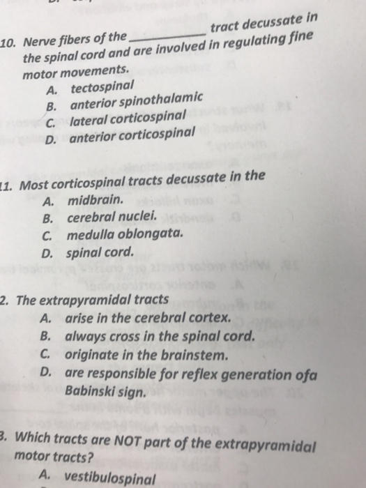 Solved Nerve fibers of the _____ tract decussate in the | Chegg.com