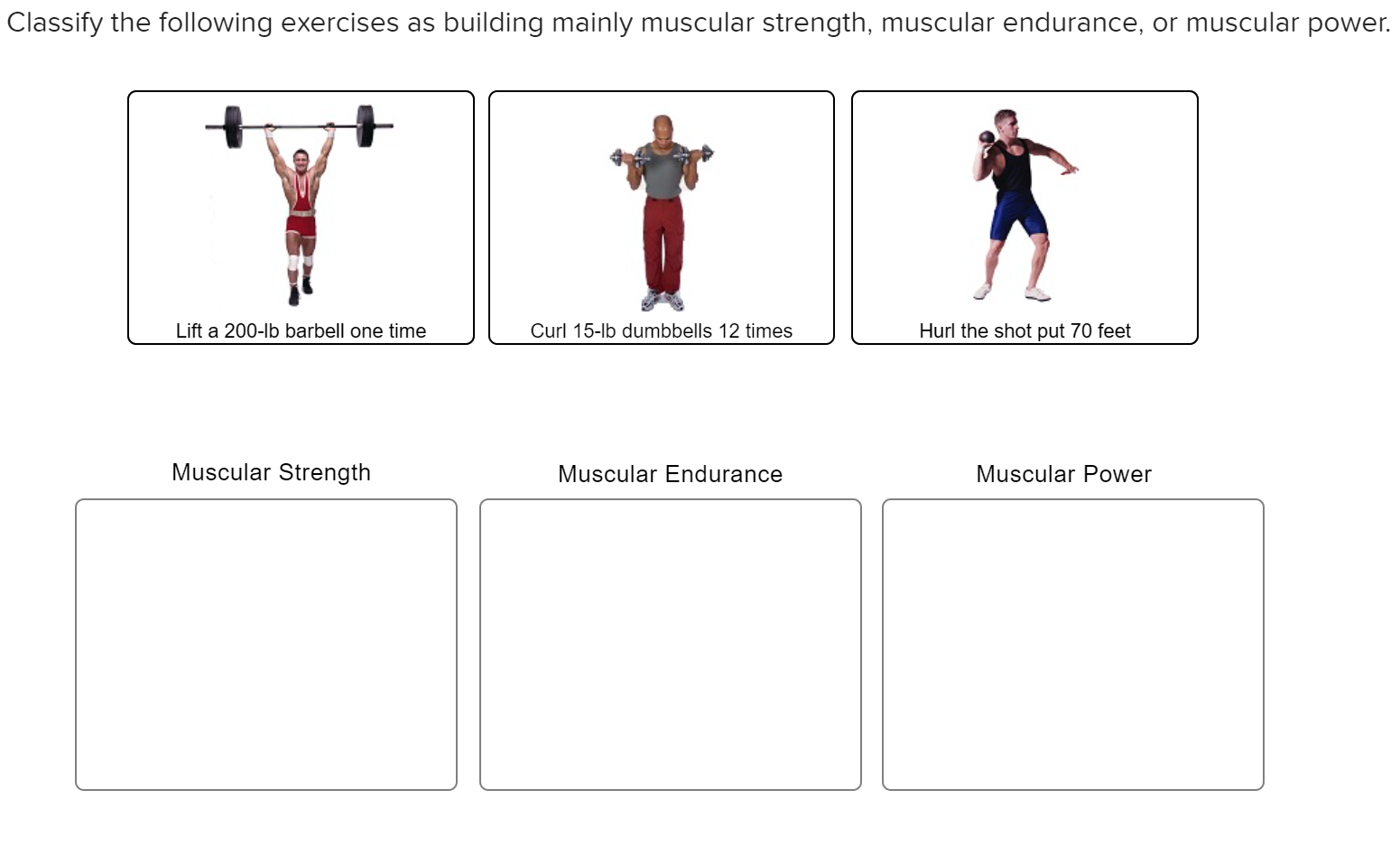 Muscular strength endurance online exercises