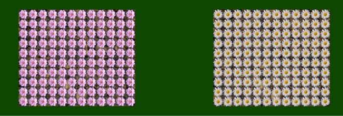 Solved Design and code a garden design application in Java. | Chegg.com