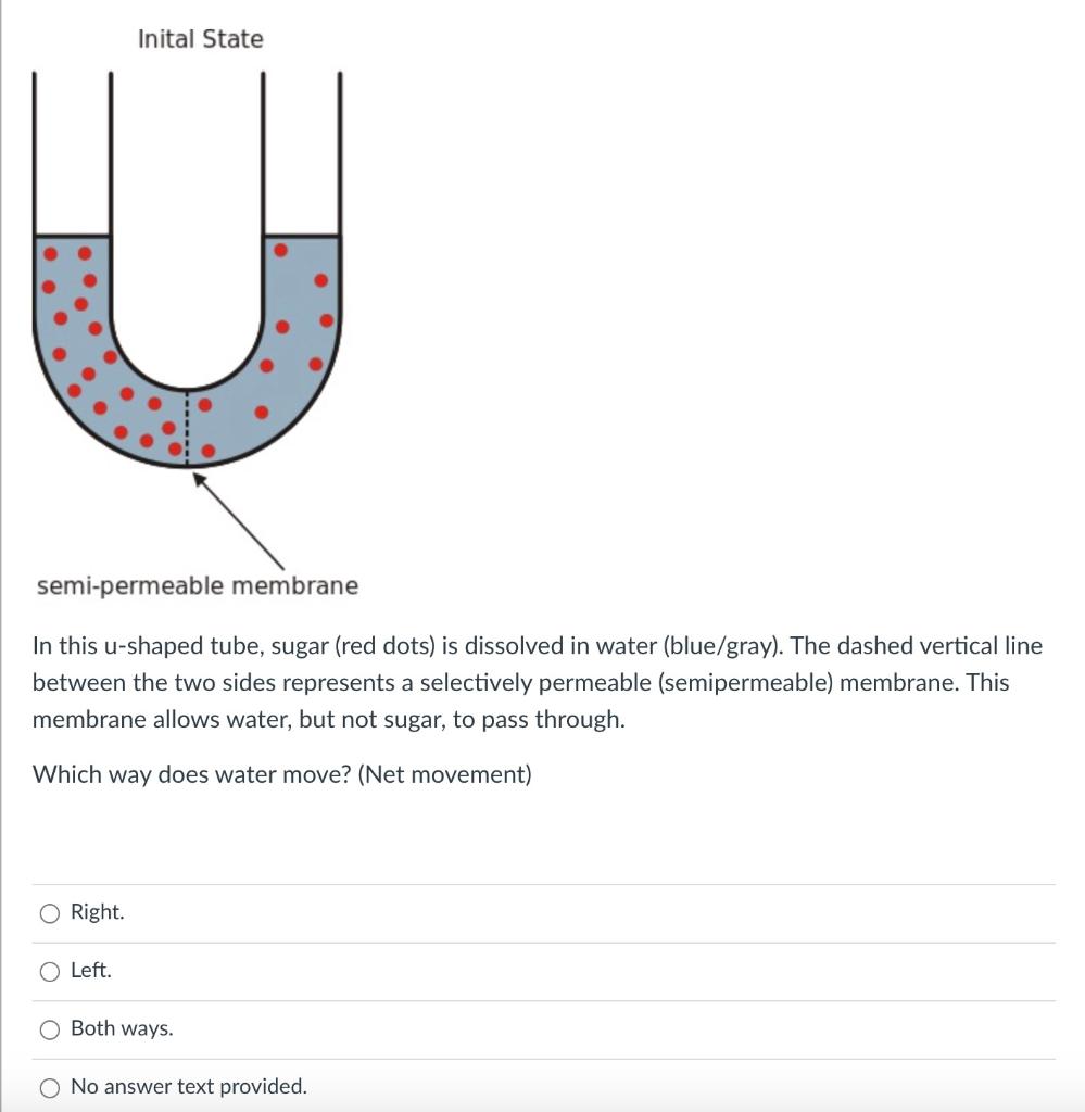 osmosis-and-its-role-in-human-biology-and-health-let-s-talk-science