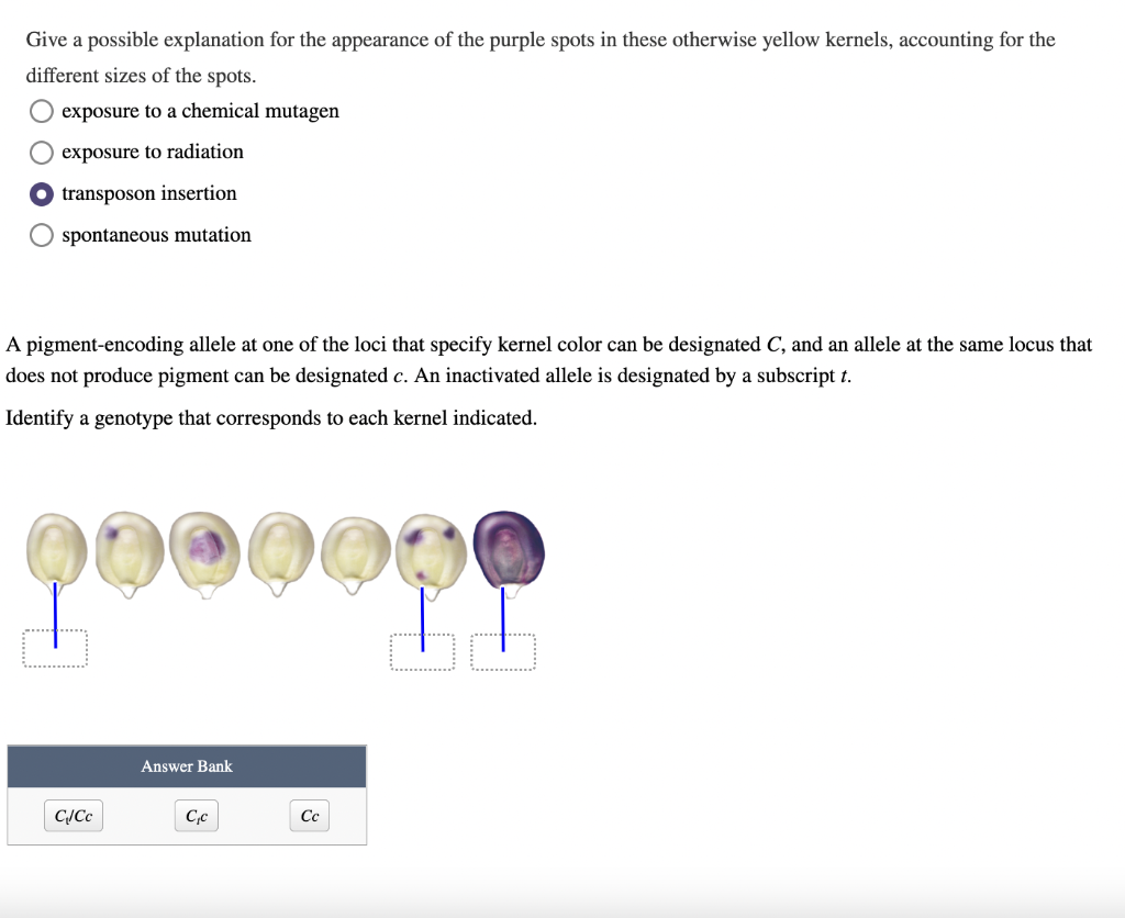 Image showcasing Solved this is quite honestly all the information i have | Chegg.com