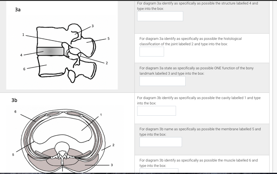 Solved For diagram 3a identify as specifically as possible | Chegg.com