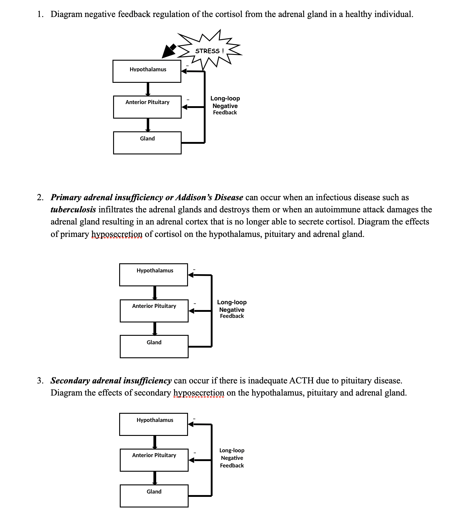 gland that secretes cortisol