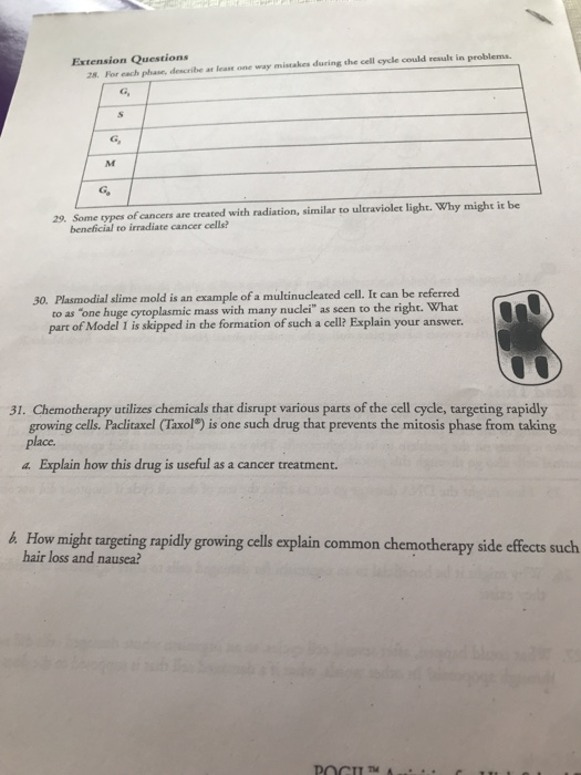 Solved Extension Questions 2 For Each Phas Describe At L Chegg Com