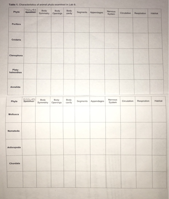 Solved Table 1. Characteristics of animal phyla examined in
