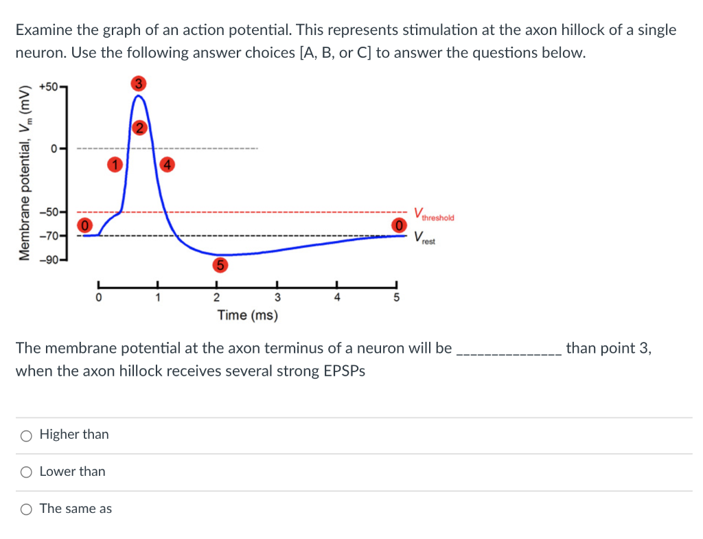 Solved Examine the graph of an action potential. This | Chegg.com