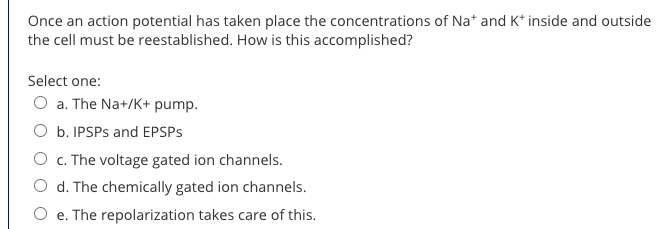 Solved Once An Action Potential Has Taken Place The | Chegg.com