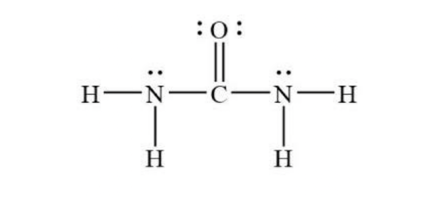 Solved what is the following bond angle from urea (a) N–C–N | Chegg.com