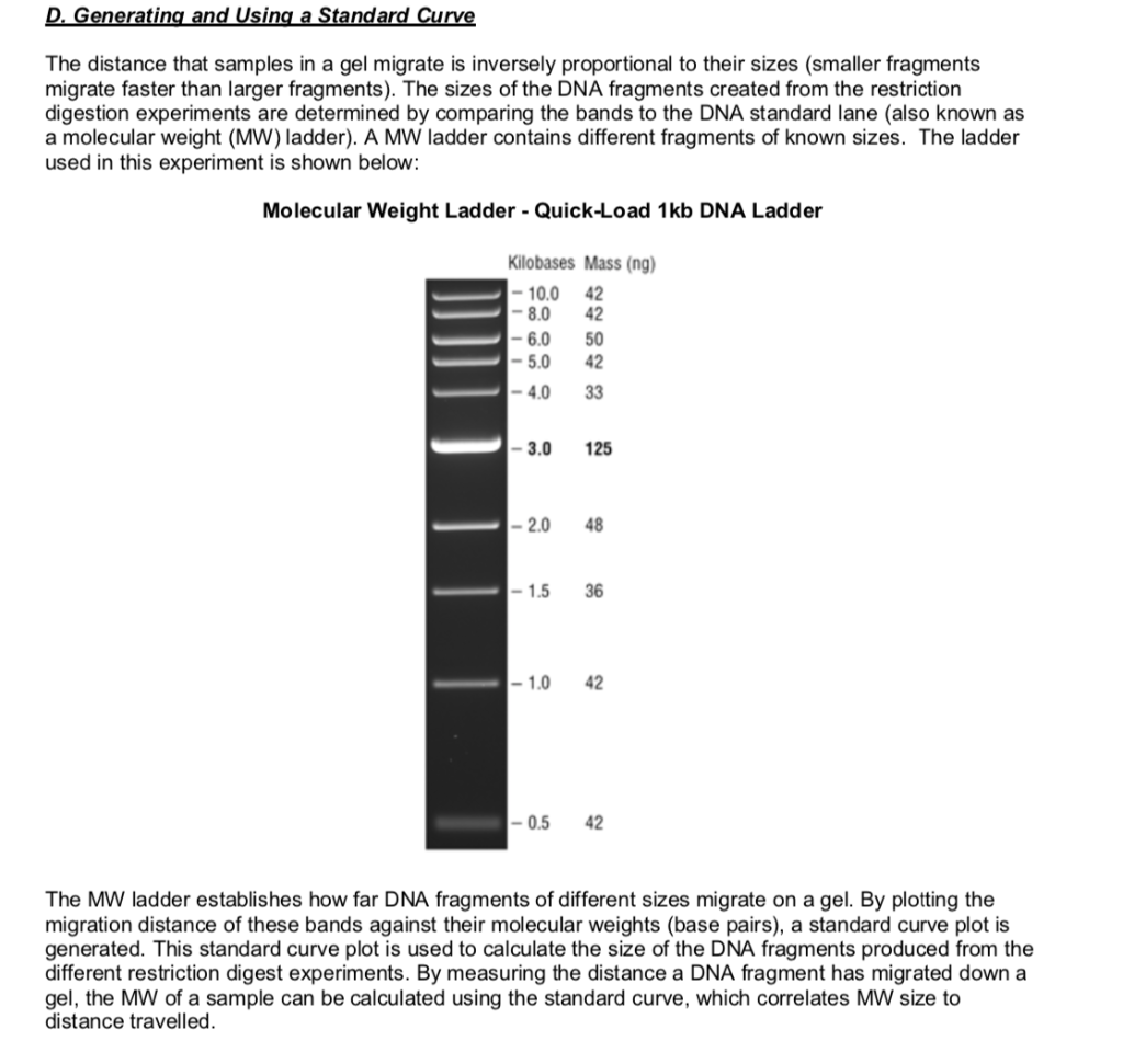 Solved Ladder Sample You Run An SDS-PAGE Gel To Verify That, 41% OFF