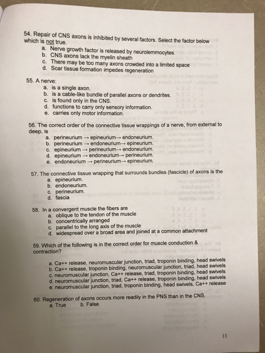 Solved 54. Repair of CNS axons is inhibited by several | Chegg.com