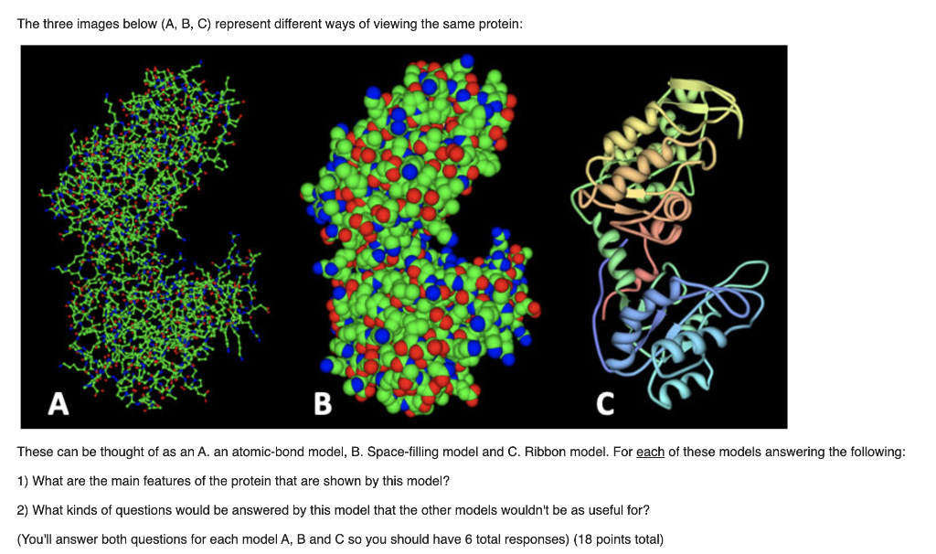 The Three Images Below (A, B, C) Represent Different | Chegg.com