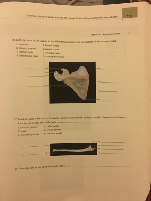 Solved Laboratory Manual for Saladin 149 & Pthysilogy The