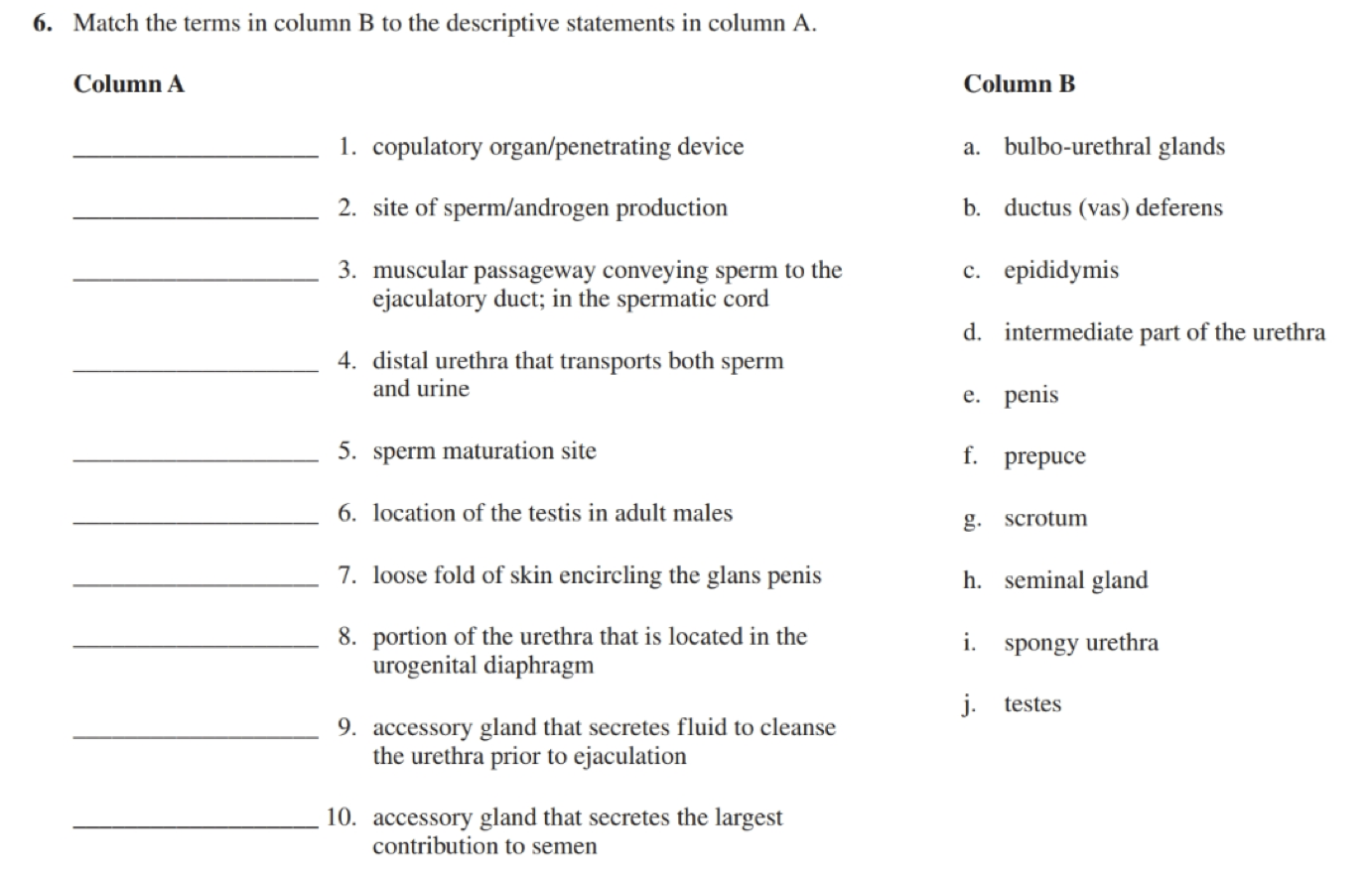 Solved 6. Match The Terms In Column B To The Descriptive | Chegg.com