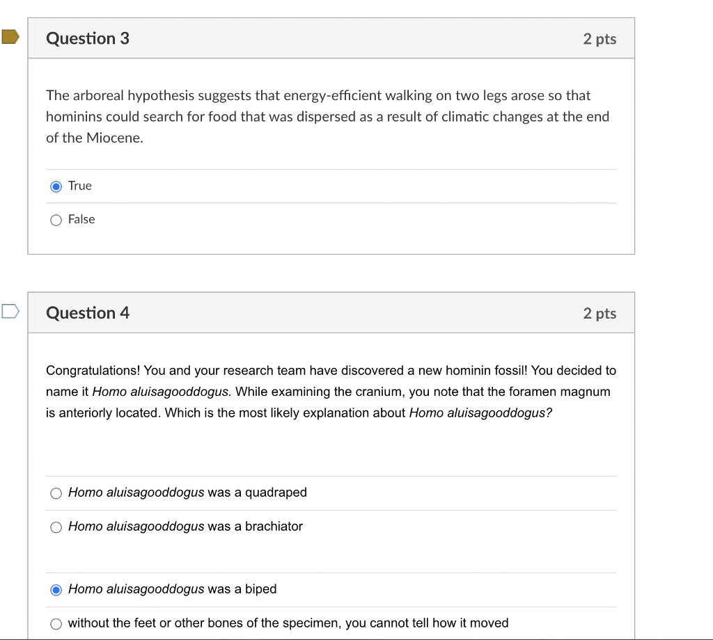 arboreal hypothesis quizlet