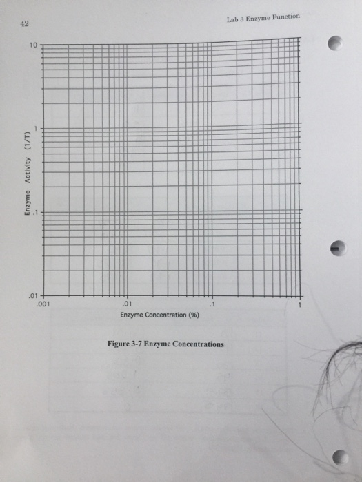 Solved Lab 3 Enzyme Function 41 LAB REPORT NAME Lab day
