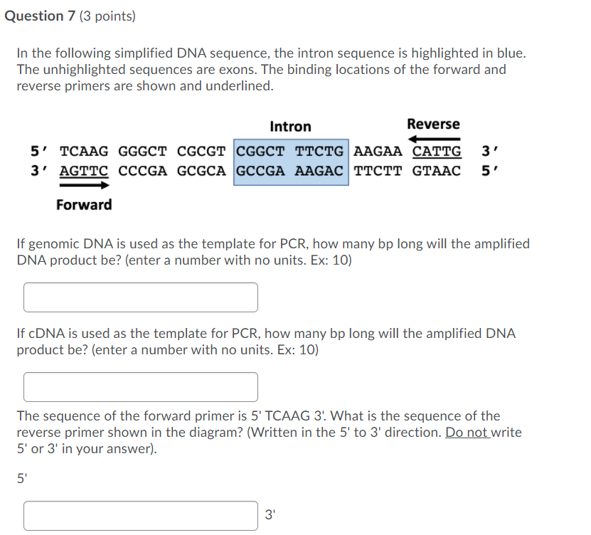 Solved Question 7 (3 points) In the following simplified DNA | Chegg.com