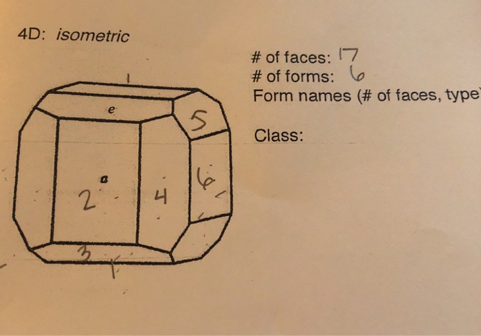 Solved 4D: isometric # of faces: 17 # of forms: Form names | Chegg.com