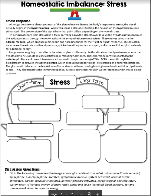 Solved Homeostatic Imbalance: Stress Stress Response | Chegg.com
