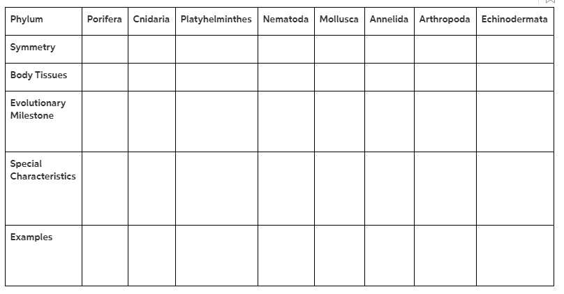 Solved Phylum Porifera Cnidaria Platyhelminthes Nematoda | Chegg.com