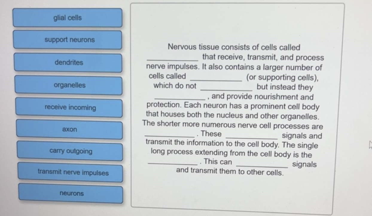 Solved Nervous tissue consists of cells called that receive 