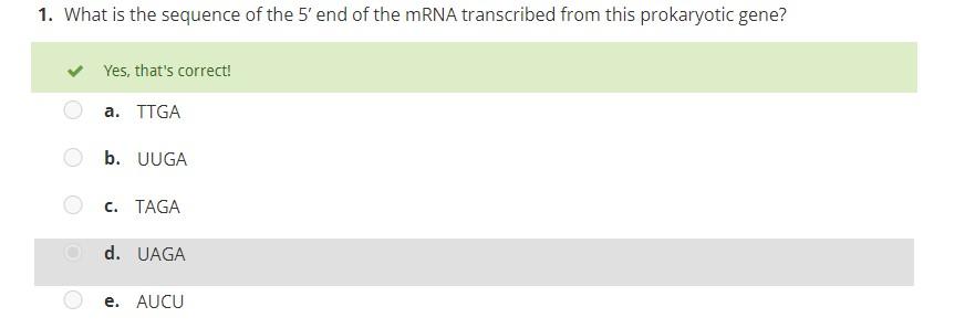 1. What is the sequence of the 5' end of the mRNA | Chegg.com
