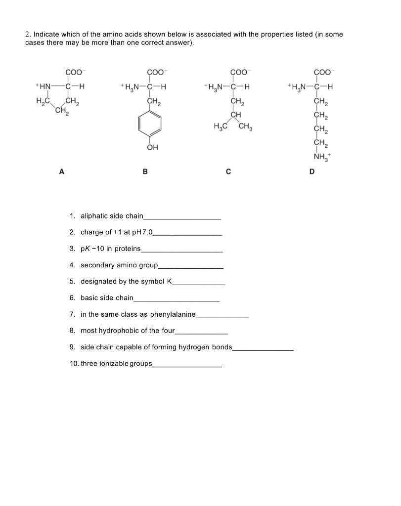 Solved 2. Indicate which of the amino acids shown below is | Chegg.com