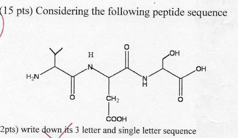 Solved (15 Pts) Considering The Following Peptide Sequence | Chegg.com