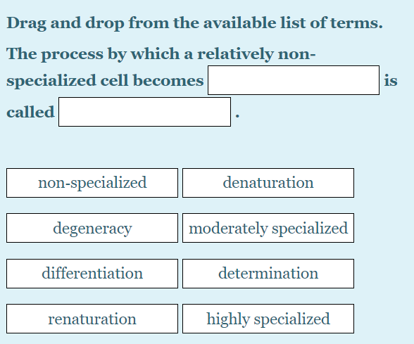 Solved Drag and drop from the available list of terms. A | Chegg.com