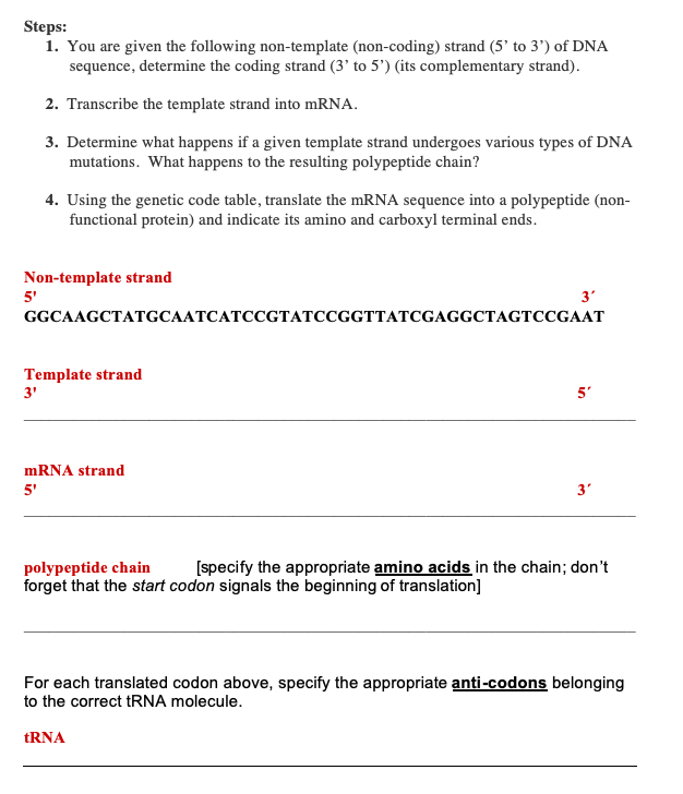 Solved Steps 1. You are given the following nontemplate