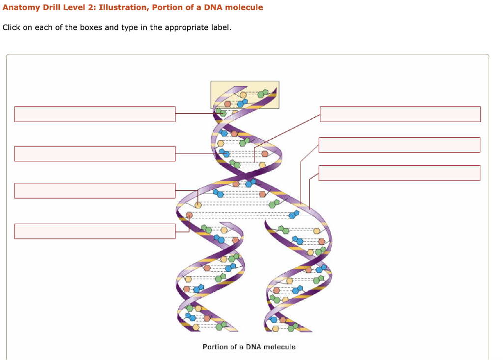 Solved click on each of the boxes and type in the | Chegg.com