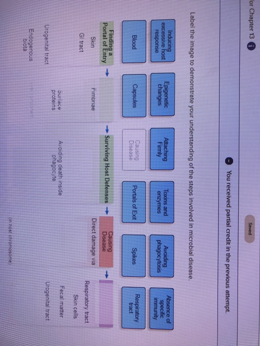 Solved You received partial credit in the previous attempt. | Chegg.com
