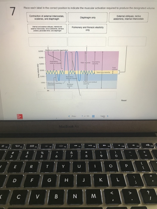 Solved Place each label in the correct position to indicate