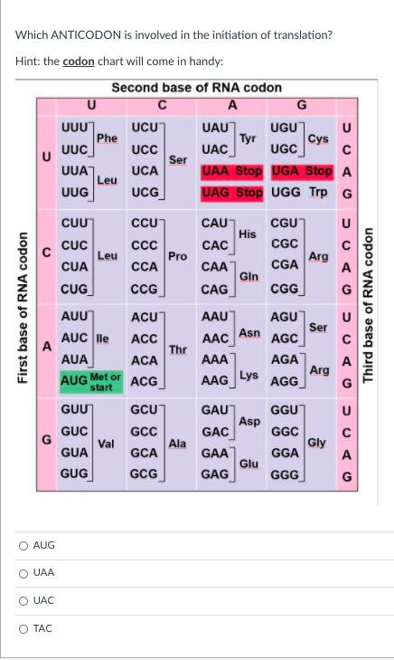 Solved Which Anticodon Is Involved In The Initiation Of T Chegg Com