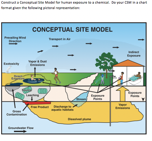 Solved Construct A Conceptual Site Model For Human Exposure 5569