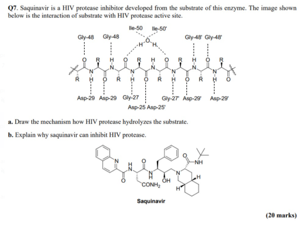 Solved Q7. Saquinavir is a HIV protease inhibitor developed | Chegg.com